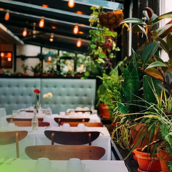 Restaurants – Hospitality Sector