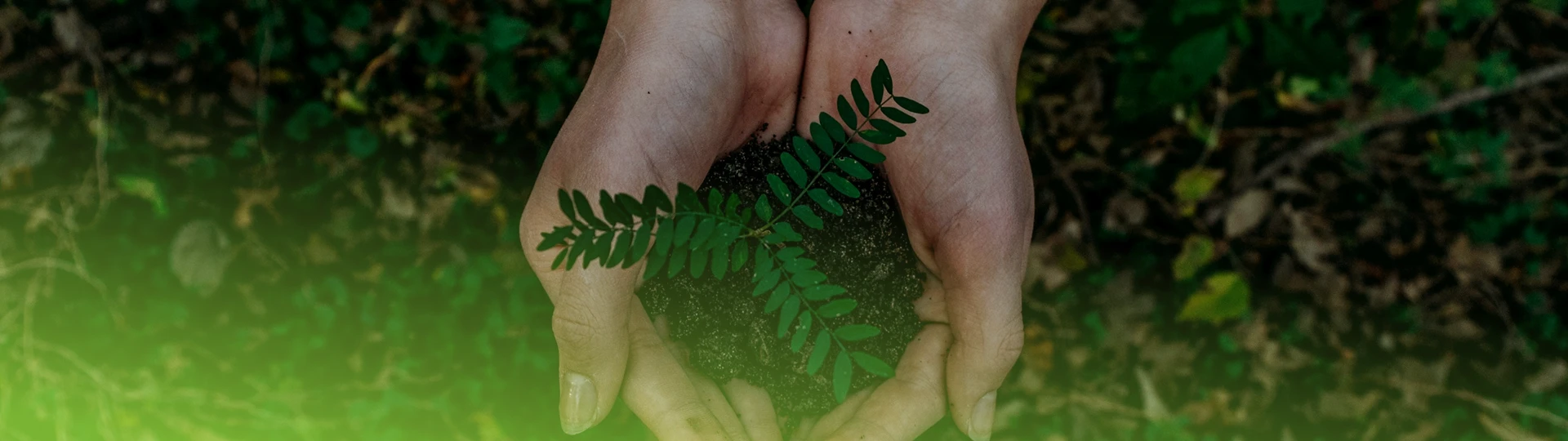 Sustainability