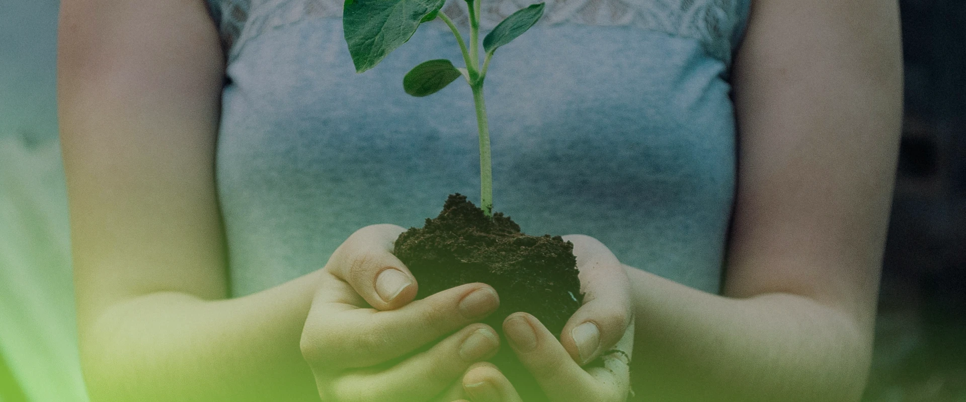 Social Sustainability
