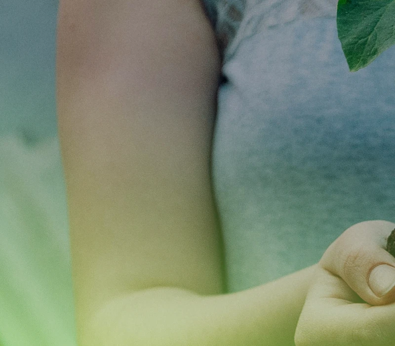 Social Sustainability