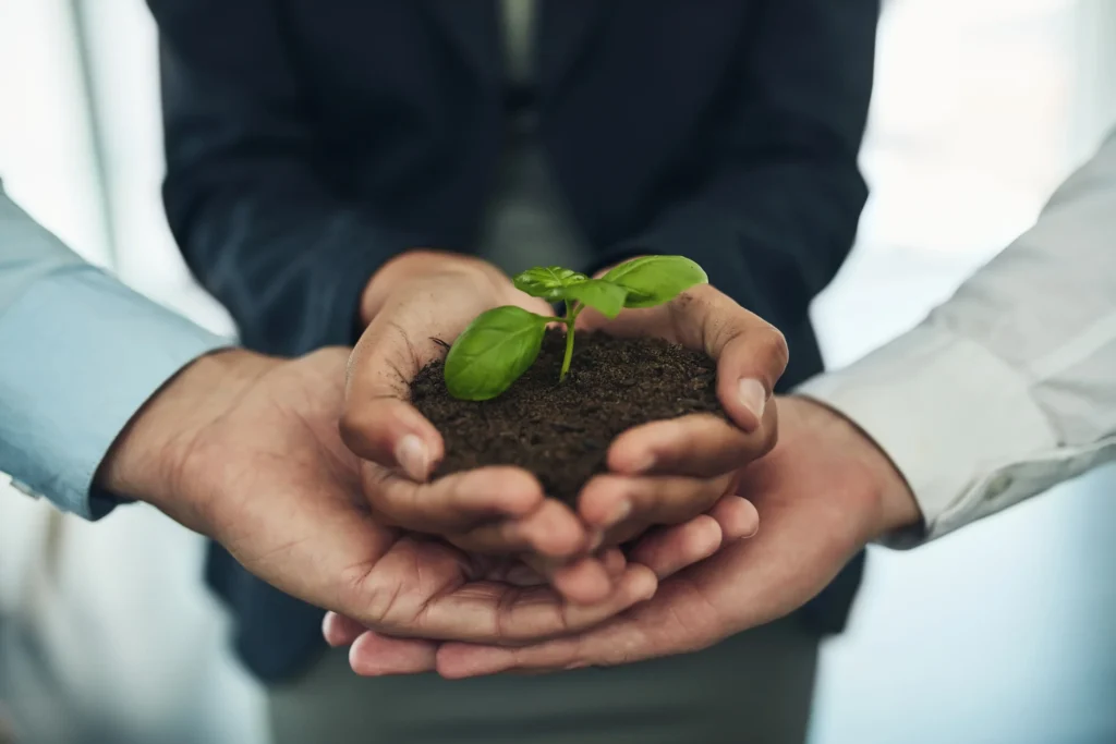Environmental Sustainability
